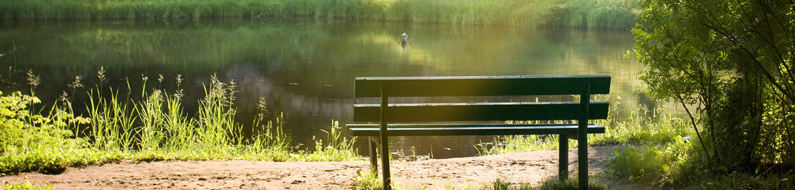 bench at water